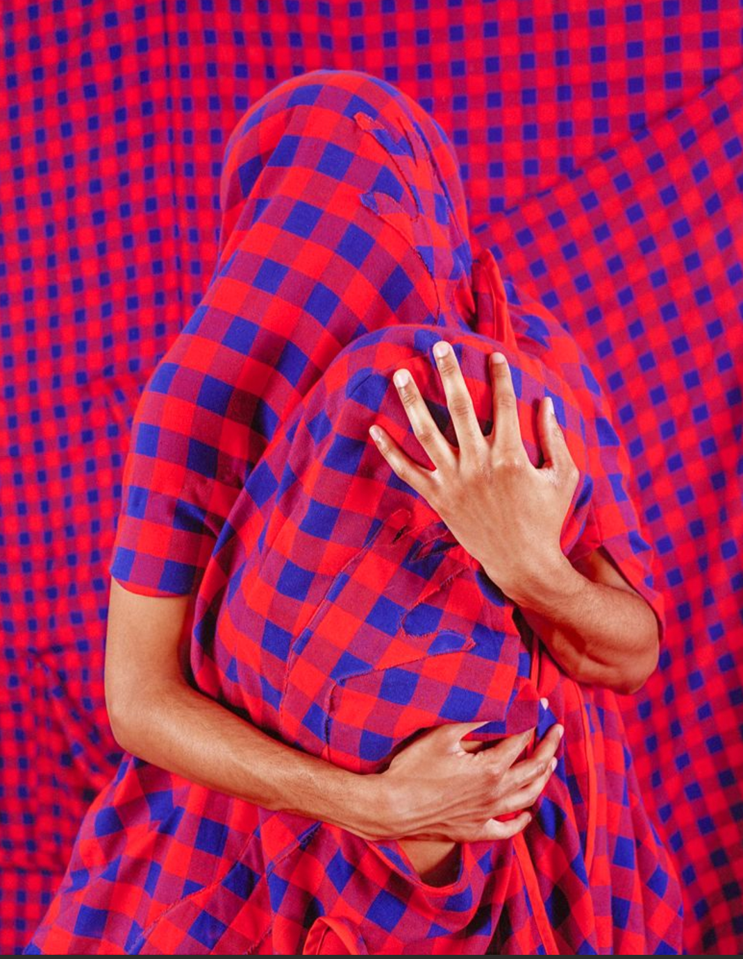 BRENDAN FERNANDES, Noise I See