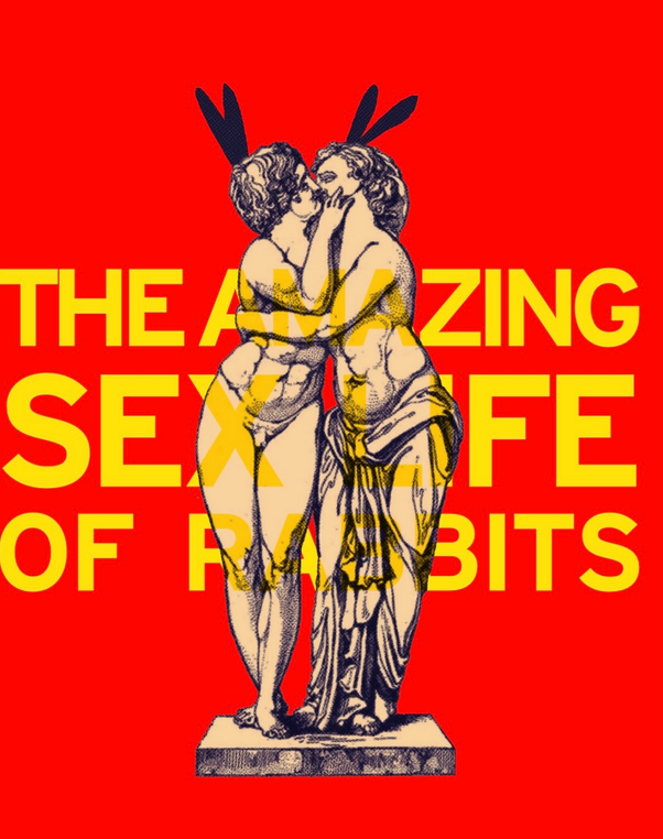 Off-Broadway Premiere of The Amazing Sex Life of Rabbits by Michael Shaw Fisher