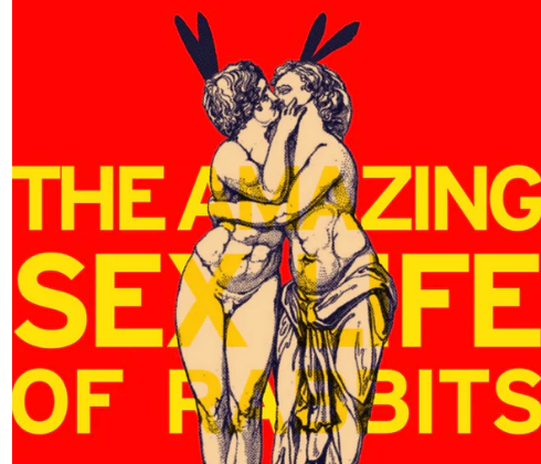Off-Broadway Premiere of The Amazing Sex Life of Rabbits by Michael Shaw Fisher